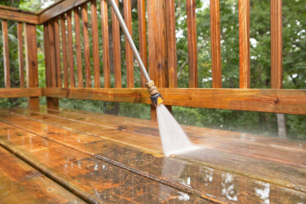 Animal Enclosure Cleaning in Gruver, TX